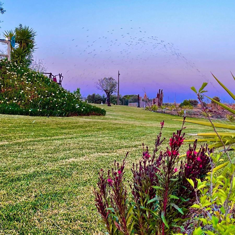 Monte Dos Pocos Hotel Aljustrel  Luaran gambar